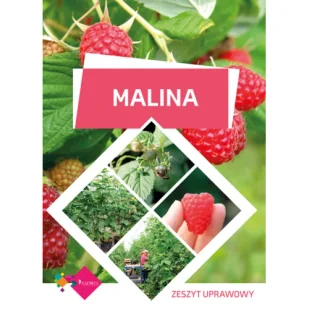 Malina - zeszyt uprawowy - Rolnictwo i przemysł - miniaturka - grafika 1