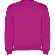 Odzież sportowa dziecięca - Bluza Dziecięca/dziecięca Clasica Z Okrągłym Dekoltem - miniaturka - grafika 1