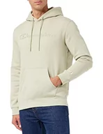 Bluzy męskie - Champion Męska bluza z kapturem American Classics Fall Fleece Big Logo, szary (Taubengrau), XL - miniaturka - grafika 1