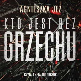 Kto jest bez grzechu Agnieszka Jeż - Audiobooki - kryminał, sensacja, thriller - miniaturka - grafika 1