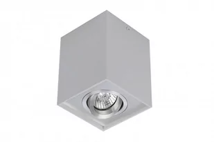 Lampa techniczna Eloy 1 BGR - Lampy pozostałe - miniaturka - grafika 1