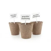 Pozostałe akcesoria do uprawy roślin - Tabliczki etykiety do opisu roślin 14x2cm - 10szt. - miniaturka - grafika 1