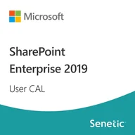 Programy biurowe - SharePoint Enterprise 2019 User CAL - miniaturka - grafika 1
