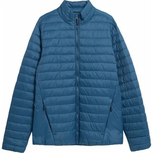 Kurtka puchowa męska 4FAW23TDJAM239 4F - Kurtki i kamizelki sportowe męskie - miniaturka - grafika 1