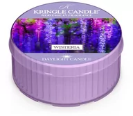 Świece - Kringle Candle Daylight Wisteria - świeczka zapachowa 42 g - miniaturka - grafika 1
