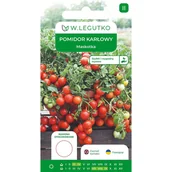 Nasiona i cebule - Pomidor karłowy Maskotka nasiona W.Legutko - miniaturka - grafika 1