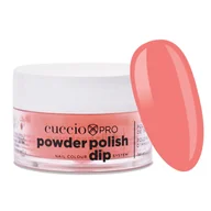 Manicure tytanowy - 6341 Puder tytanowy Dip System 14 g NAME THAT TUNE - miniaturka - grafika 1