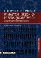 E-booki - biznes i ekonomia - Formy zatrudnienia w małych i średnich przedsiębiorstwach w Polsce. Jak zatrudniać pracowników - miniaturka - grafika 1