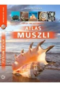Albumy inne - Atlas muszli - miniaturka - grafika 1