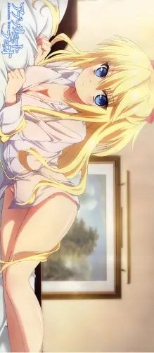 Plakat Anime Absolute Duo ad_997 A1+ (custom)