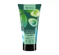 Balsamy i kremy do ciała - Vis Plantis regenerujący balsam do ciała z awokado - miniaturka - grafika 1