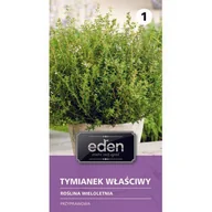 Nasiona i cebule - Tymianek 0,2 g Eden - miniaturka - grafika 1