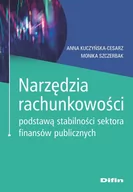 Biznes - Difin Narzędzia rachunkowości podstawą stabilności sektora finansów publicznych Anna Kuczyńska-Cesarz, Monika Szczerbak - miniaturka - grafika 1