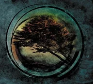 Winyle - Tides From Nebula Aura Transparent Clear Vinyl) - miniaturka - grafika 1