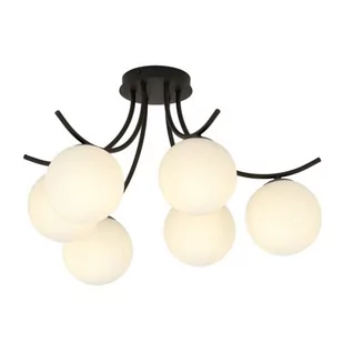 Emibig BOSTON 6 BLACK/OPAL 1109/6 lampa sufitowa czarna szklane klosze 1109/6 - Lampy sufitowe - miniaturka - grafika 1