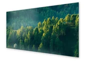 Dekoracje domu - Panel kuchenny HOMEPRINT Zielony las 100x50 cm - miniaturka - grafika 1
