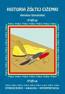 Historia Polski - Literat Historia żółtej ciżemki Antoniny Domańskiej - Danuta Anusiak - miniaturka - grafika 1