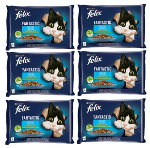 FELIX Fantastic Wiejskie Smaki w galaretce z łososiem i pstrągiem  12x(4x85g) - Mokra karma dla kotów - miniaturka - grafika 1