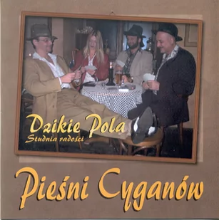 Studnia radości - Pieśni Cyganów - Folk - miniaturka - grafika 1