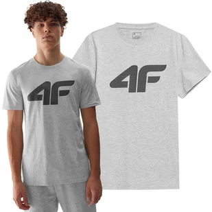 Koszulka Męska 4F T-shirt Bawełniany Sportowy Duże Logo Limitowany SS24 - Koszulki męskie - miniaturka - grafika 1