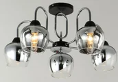 Lampy sufitowe - Ceiling lamp BALTIK GAISMA, 5 x E27, max 5 x 60 W, K90542/5, black/silver color. - miniaturka - grafika 1