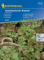 Nasiona i cebule - Sałata Karbowana Amerikanischer Brauner 8126 (St) - miniaturka - grafika 1