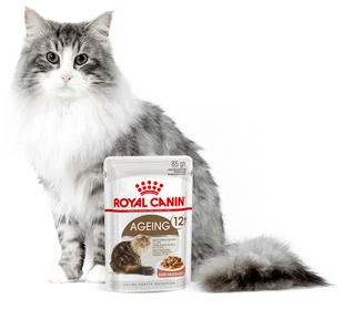 ROYAL CANIN  Ageing +12 12x85g karma mokra w sosie dla kotów dojrzałych + niespodzianka dla kota GRATIS! - Mokra karma dla kotów - miniaturka - grafika 5