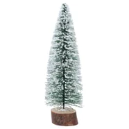 Choinka Zielona Ośnieżona Na Pniu