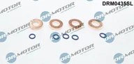 Układ zasilania - akcesoria - Zestaw uszczelek, dysza wtryskowa Dr.motor Automotive DRM0435SL - miniaturka - grafika 1
