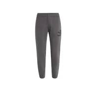Dresy męskie - Męskie Spodnie FUTURE SURF SOCIETY JOGGER L - miniaturka - grafika 1