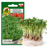 Nasiona i cebule - RZEŻUCHA OGRODOWA 15g DUŻO WITAMIN NASIONA BEZ GMO - miniaturka - grafika 1