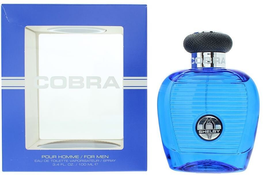 Versace Carroll Shelby, Blue Cobra, Eau De Toilette, For Men, 100 ml For Men
