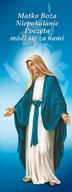 Ikony i obrazy sakralne - Baner religijny Matka Boża Niepokalana "Matko Boża Niepokalanie.." 75x200cm - miniaturka - grafika 1