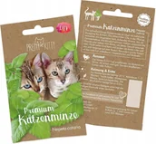 Nasiona i cebule - Pretty Kitty kocimiętka właściwa 1000 nasion do uprawy rośliny dla kotów - miniaturka - grafika 1