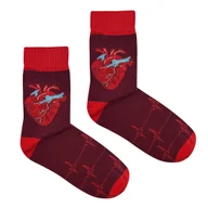 Skarpetki damskie - Skarpetki Serce Kardio Bordo-42-46 - miniaturka - grafika 1