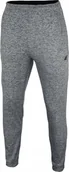 Spodnie męskie - Spodnie Męskie Dresowe Ocieplane 4F NOSH4-SPMTR001 SZARY-S - miniaturka - grafika 1