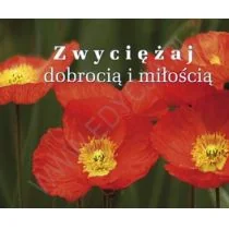 Edycja Świętego Pawła praca zbiorowa Perełka 193. Zwyciężaj dobrocią i miłością - Aforyzmy i sentencje - miniaturka - grafika 1