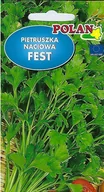 Nasiona i cebule - Pietruszka naciowa Fest 2 g POLAN - miniaturka - grafika 1