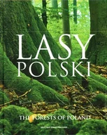 Albumy krajoznawcze - Lasy Polski. The Forests of Poland - miniaturka - grafika 1