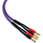 Kable - Kable głośnikowe 2x2,5mm2 MDSC2520G Melodika 2m 2m ✦ SALON ✦ ZAPYTAJ O RABAT ✦ RATY 30x0% - miniaturka - grafika 1