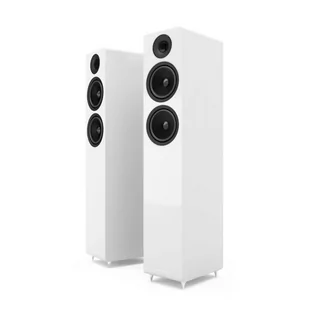 Acoustic Energy AE309 | Kolumna Podłogowa - Głośniki i kolumny - miniaturka - grafika 1