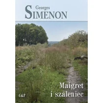 C&T Maigret i szaleniec - Kryminały - miniaturka - grafika 1