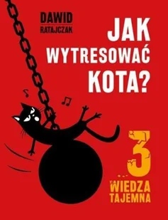 Jak wytresować kota 3 Wiedza tajemna Dawid Ratajczak - Książki o kulturze i sztuce - miniaturka - grafika 2