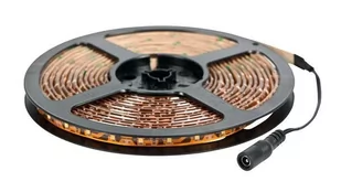 ActiveJet Taśma LED AJE-Z300L3528WCI biały zimny 60szt./m AJE-Z300L3528WCI - Lampy pozostałe - miniaturka - grafika 1