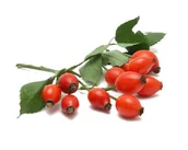 Pasze dla zwierząt - Dzika róża EQUIHERBS cały owoc 500g - miniaturka - grafika 1