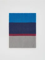 Apaszki i szaliki damskie - Reserved - Dzianinowy komin w prążek - granatowy - miniaturka - grafika 1