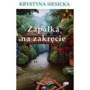 Literatura przygodowa - Akapit-Press Krystyna Siesicka Zapałka na zakręcie - miniaturka - grafika 1