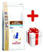 Sucha karma dla kotów - Royal Canin Gastro Intestinal Moderate Calorie GIM35 4 kg - miniaturka - grafika 1