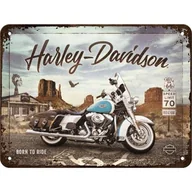 Tablice i flipcharty - 26255 Plakat 15x20 Harley Davidson Road - miniaturka - grafika 1