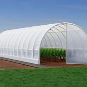 Szklarnie ogrodowe - Pokrycie foliowe do szklarni tunelowej z drzwiami 36 m² - szer. 300 x dł. 1200 x wys. 200 cm - Biały - ALOCASIA - miniaturka - grafika 1